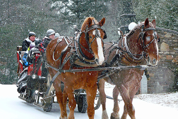 Eagle Mountain House | Horse Drawn Carriage | Jingle Bell Chocolate Tour